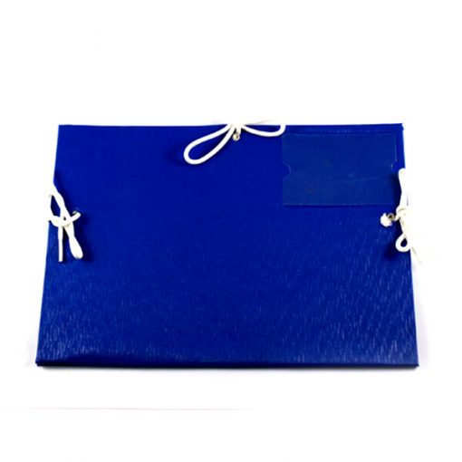 Bìa 3 dây si 10F hcm