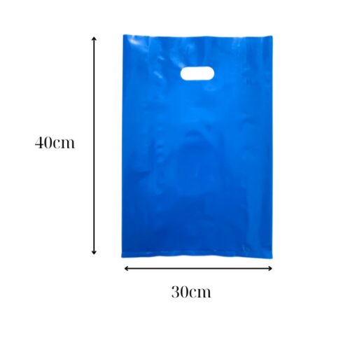 túi hột xoài 30-40cm dương