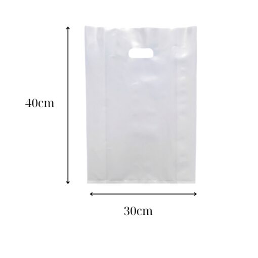 túi hột xoài 30-40cm trắng